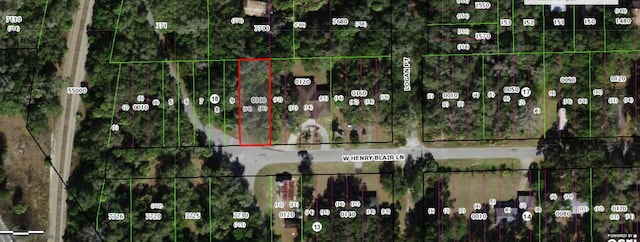 1789 W Henry Blair Ln, Dunnellon, FL 34434