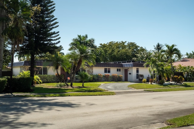 single story home with a front lawn, curved driveway, and stucco siding