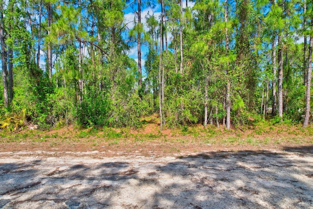 401 W 18th St, Lehigh Acres, FL 33972