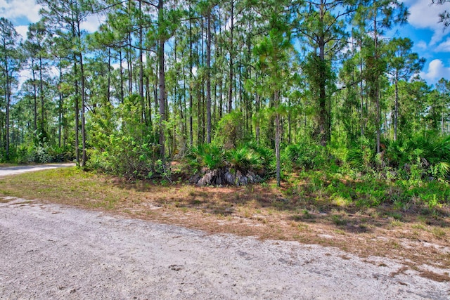 401 W 18th St, Lehigh Acres, FL 33972
