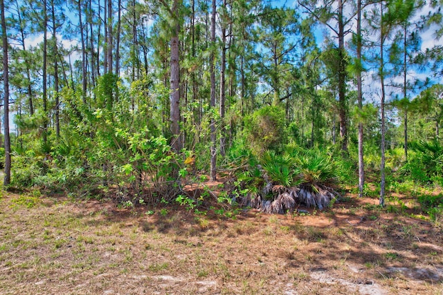 401 W 18th St, Lehigh Acres, FL 33972