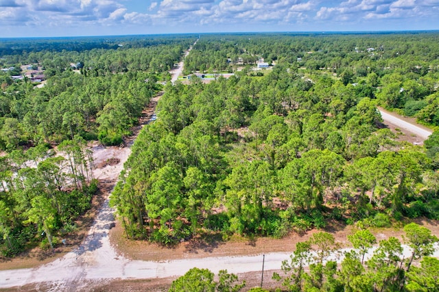401 W 18th St, Lehigh Acres, FL 33972