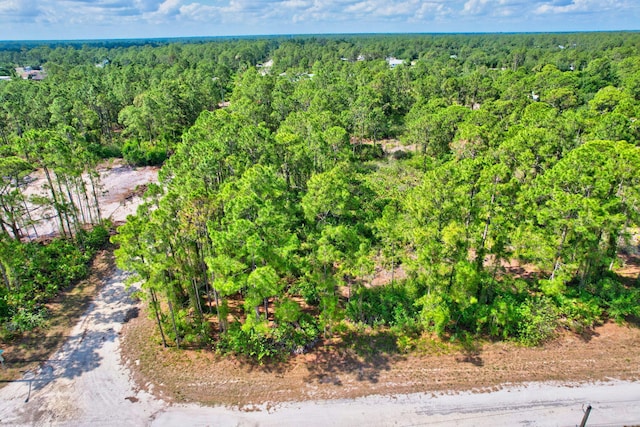 401 W 18th St, Lehigh Acres, FL 33972