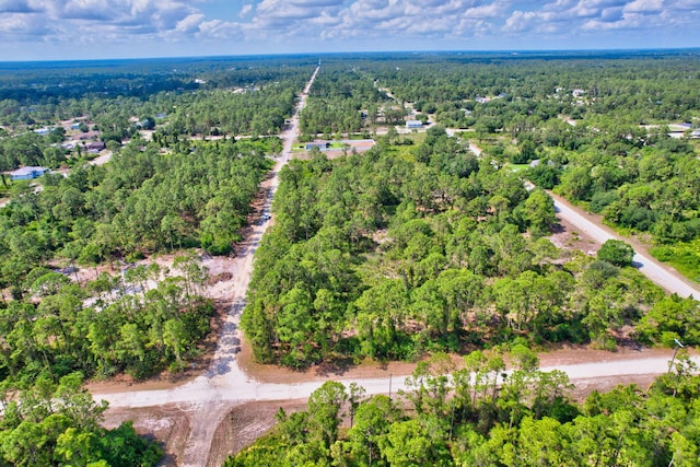 401 W 18th St, Lehigh Acres, FL 33972