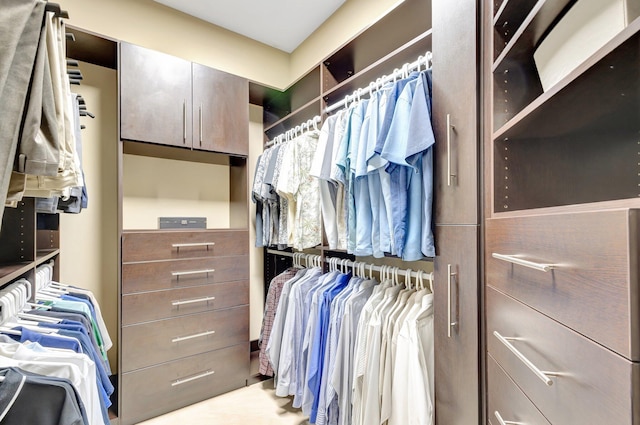 view of spacious closet