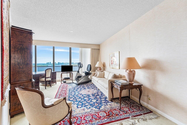 100 Lakeshore Dr Unit 1557, North Palm Beach, FL 33408 - carpeted living room featuring a textured ceiling and baseboards
