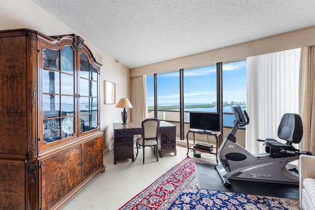 100 Lakeshore Dr Unit 1557, North Palm Beach, FL 33408 - workout room featuring a textured ceiling and carpet floors