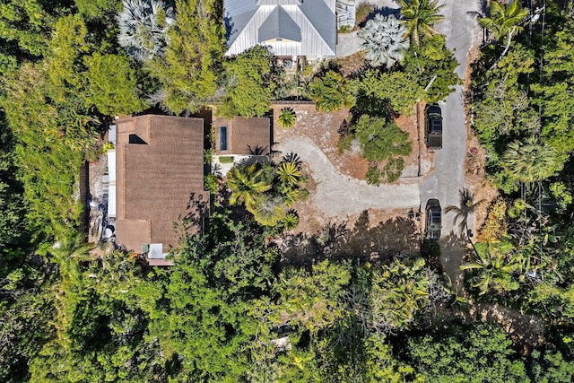aerial view