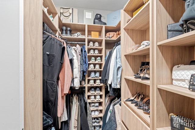 8781 Corvus Dr, Lake Worth, FL 33467 - view of spacious closet