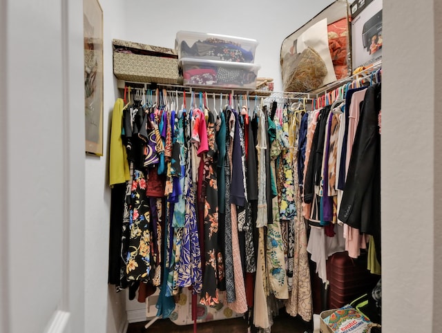 view of walk in closet
