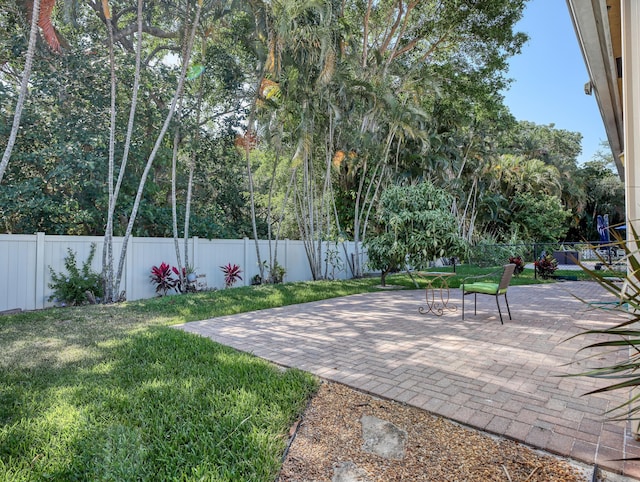 view of yard with a patio and a fenced backyard