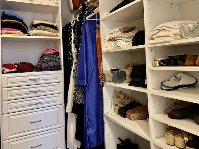 view of spacious closet