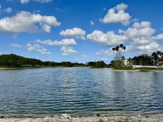 water view