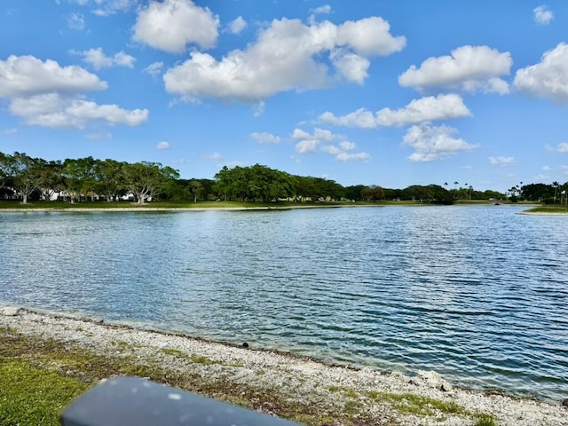 water view