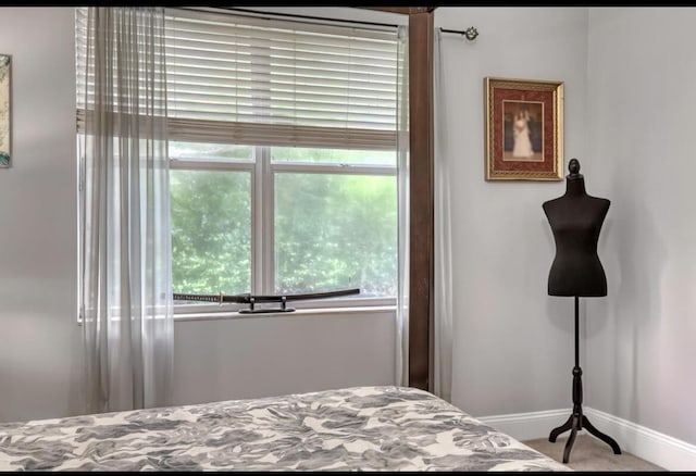 5959 SE Crooked Oak Ave, Hobe Sound, FL 33455 - carpeted bedroom with baseboards