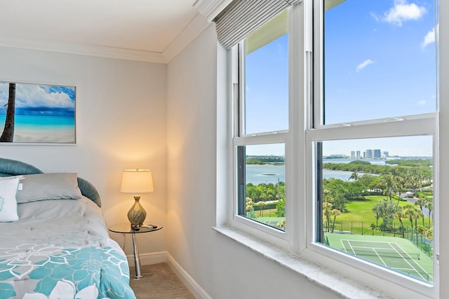 carpeted bedroom featuring crown molding, a water view, and baseboards