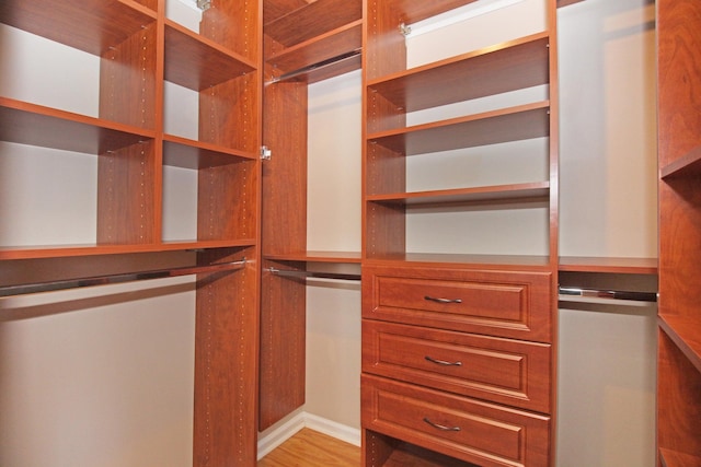 spacious closet featuring light wood-style floors
