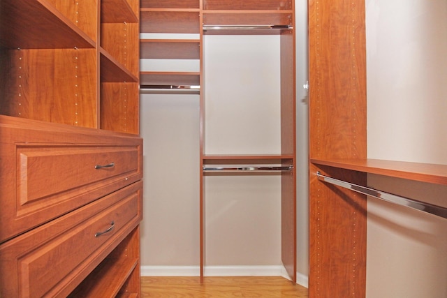 spacious closet featuring light wood-style flooring