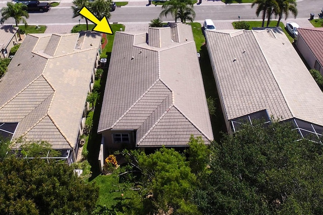 bird's eye view