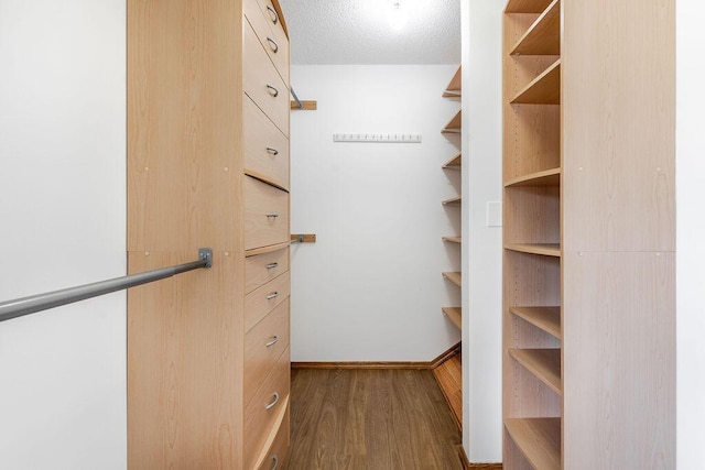 5606 Channel Dr, Lake Worth, FL 33463 - walk in closet with dark wood-style floors