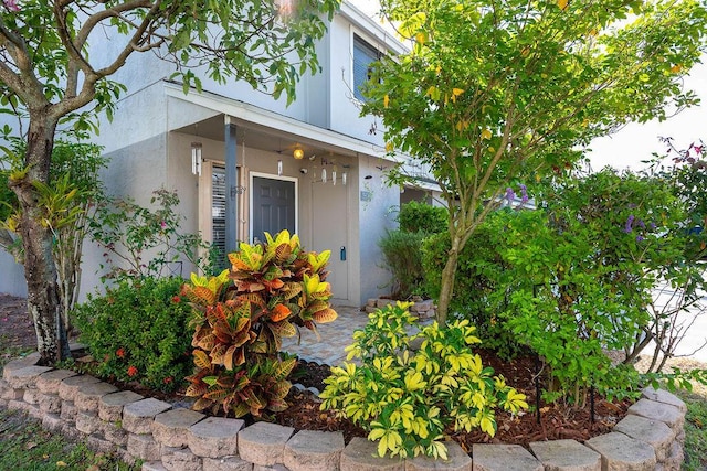 5606 Channel Dr, Lake Worth, FL 33463 - property entrance featuring stucco siding