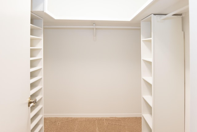 3984 SE Fairway E, Stuart, FL 34997 - spacious closet featuring carpet