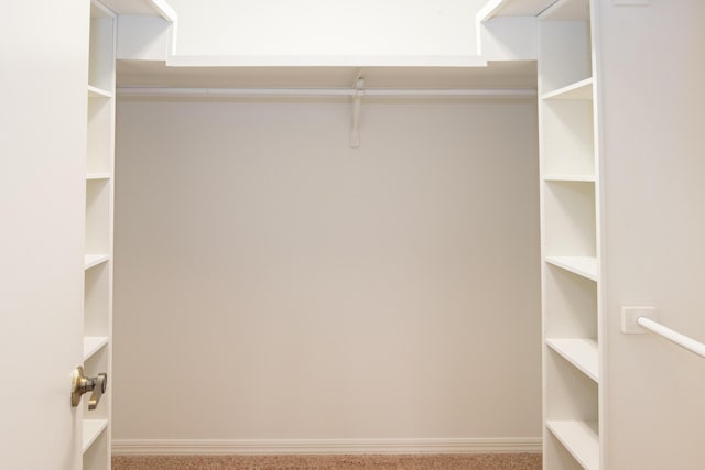 3984 SE Fairway E, Stuart, FL 34997 - walk in closet featuring carpet floors