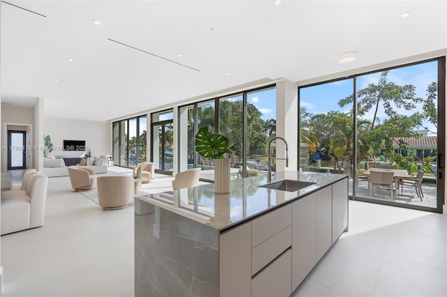 kitchen with modern cabinets, a healthy amount of sunlight, light stone countertops, and a sink