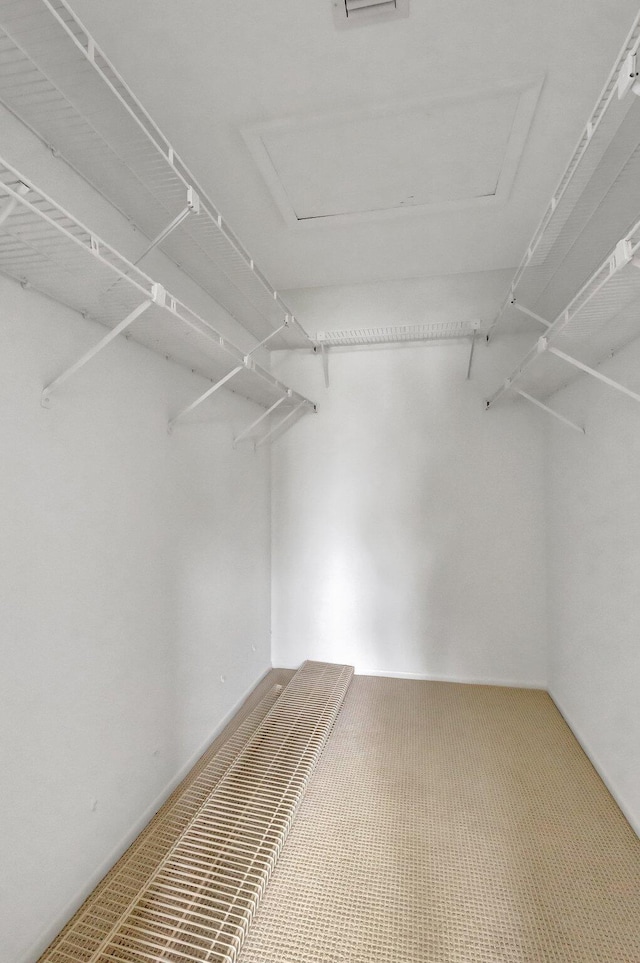 walk in closet featuring carpet floors