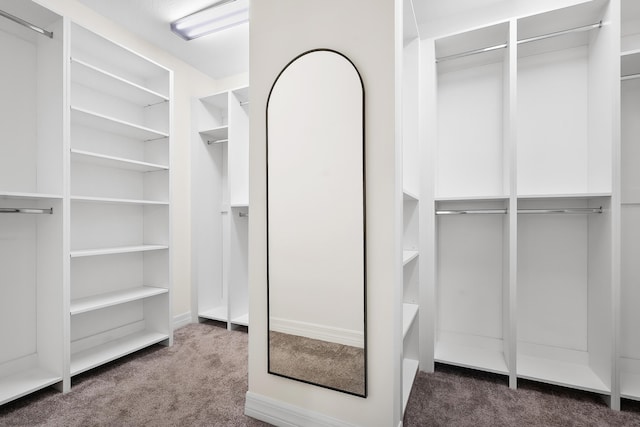 walk in closet featuring carpet