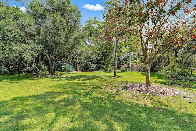 view of yard with an outdoor structure and a storage shed