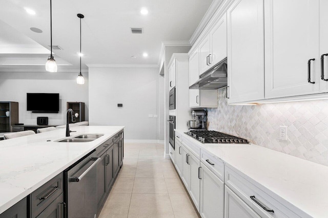 kitchen featuring crown molding, a sink, stainless steel appliances, under cabinet range hood, and visible vents