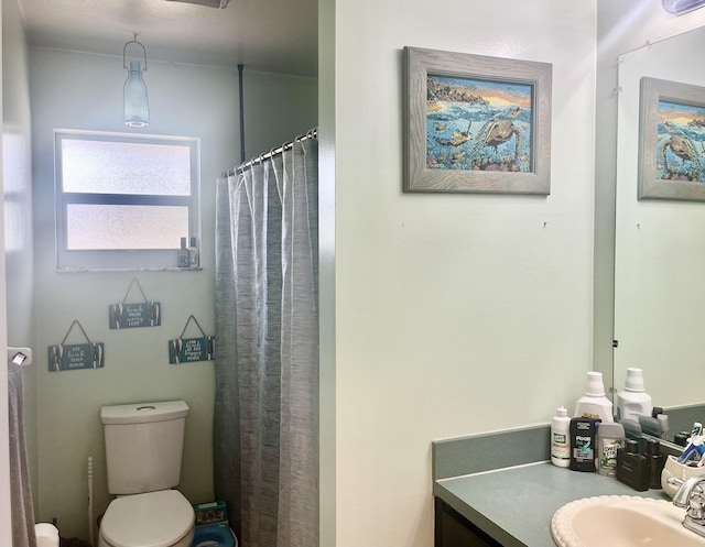 7677 NW 90th Ct, Okeechobee, FL 34972 - full bath featuring toilet, vanity, and a shower with shower curtain