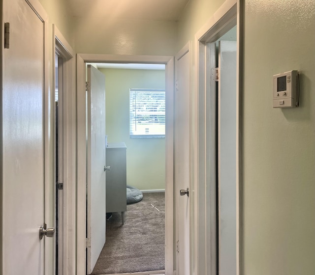7677 NW 90th Ct, Okeechobee, FL 34972 - corridor with carpet flooring