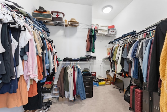 16390 Sea Turtle Pl, The Acreage, FL 33470 - walk in closet with carpet