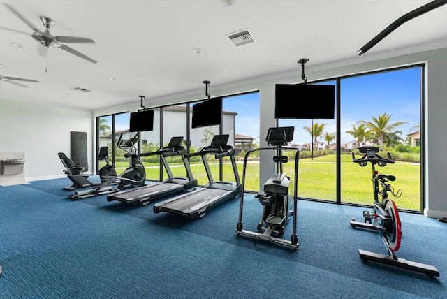 16390 Sea Turtle Pl, The Acreage, FL 33470 - gym featuring carpet floors, a wealth of natural light, a ceiling fan, and visible vents
