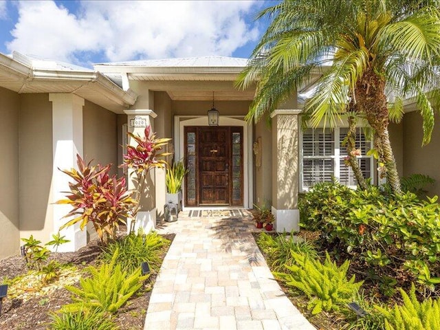 view of exterior entry featuring stucco siding