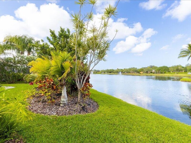 view of water feature