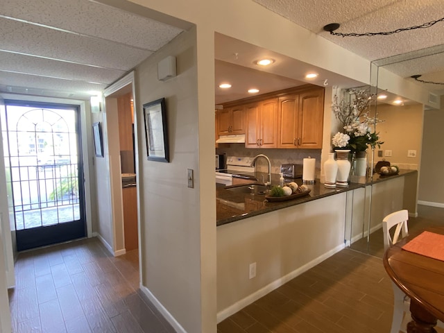 7 Royal Palm Way Unit 202, Boca Raton, FL 33432 - kitchen featuring under cabinet range hood, white electric range oven, dark wood finished floors, decorative backsplash, and recessed lighting