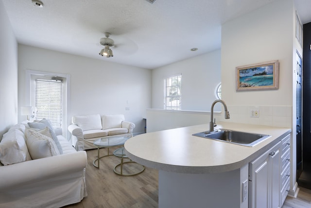 kitchen with light wood-style floors, a sink, open floor plan, and light countertops