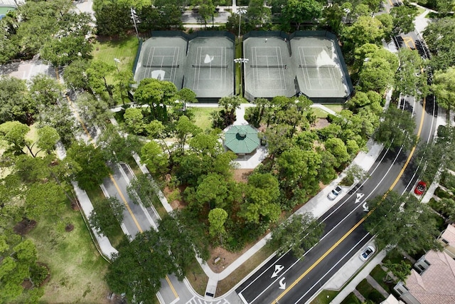 bird's eye view