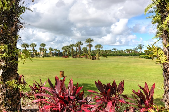 view of yard with golf course view