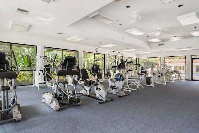 136 Centennial Ct, Deerfield Beach, FL 33442 - gym featuring visible vents and a wealth of natural light