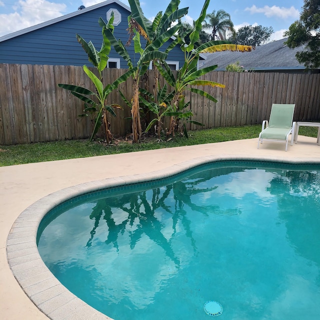 6374 Robinson St, Jupiter, FL 33458 - view of pool featuring a patio, a fenced backyard, and a fenced in pool