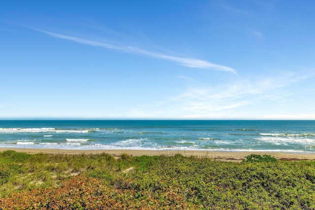 property view of water with a beach view