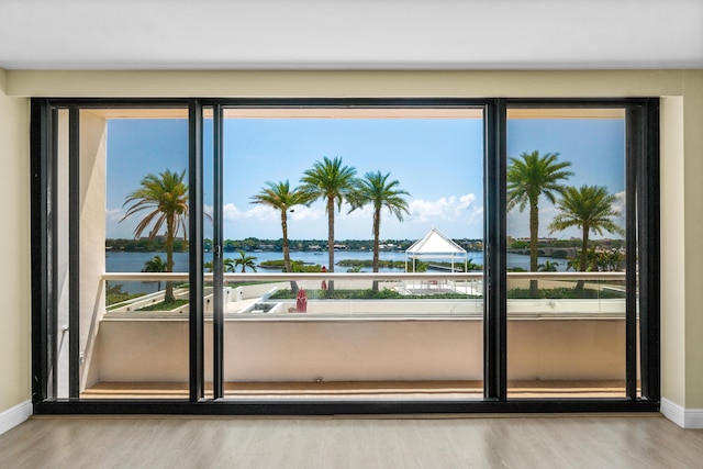 interior space with a water view, baseboards, and wood finished floors