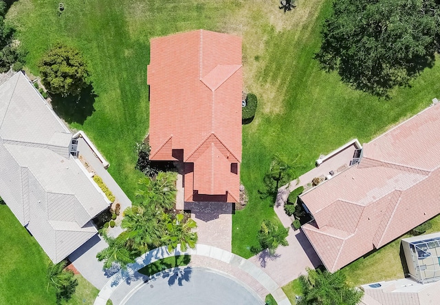 bird's eye view