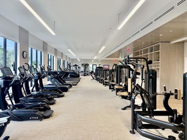 workout area with carpet floors