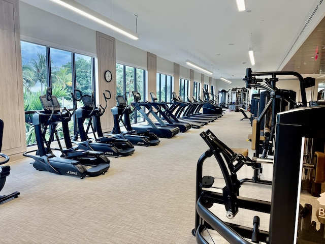 gym with carpet