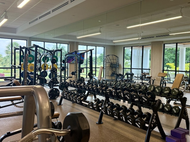 gym featuring a paneled ceiling and plenty of natural light